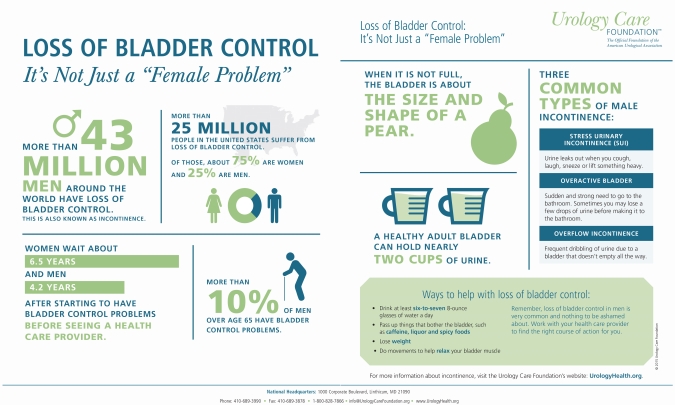 CCH American Urological Association incontinence infographic 